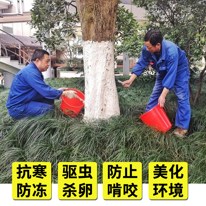 树木涂白剂大树刷白树干果树防冻抗病防寒杀菌防寒冻石灰粉20公斤 - 图1