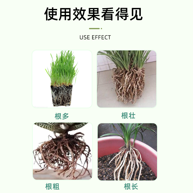生根粉植物通用扦插用壮苗强力生根剂快速生根速效大树移栽发根液 - 图1