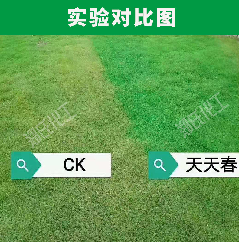 草坪专用增绿剂染色剂一喷绿不伤草坪工地验收病虫害后染绿持效长 - 图2