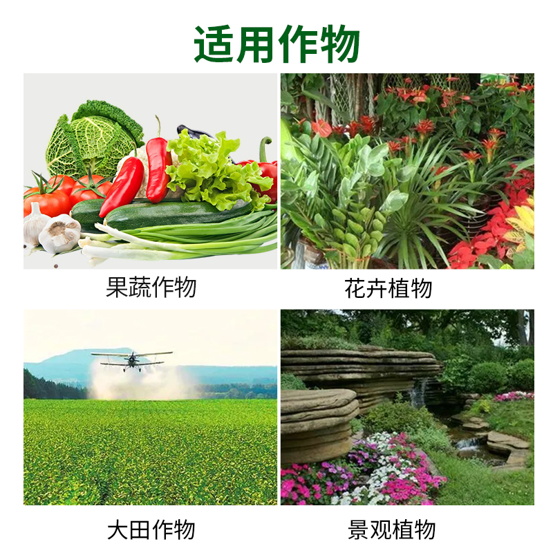 百菌清 果蔬植物杀菌剂除白粉病锈病霜霉病炭疽病送滴管瓶装100克 - 图2