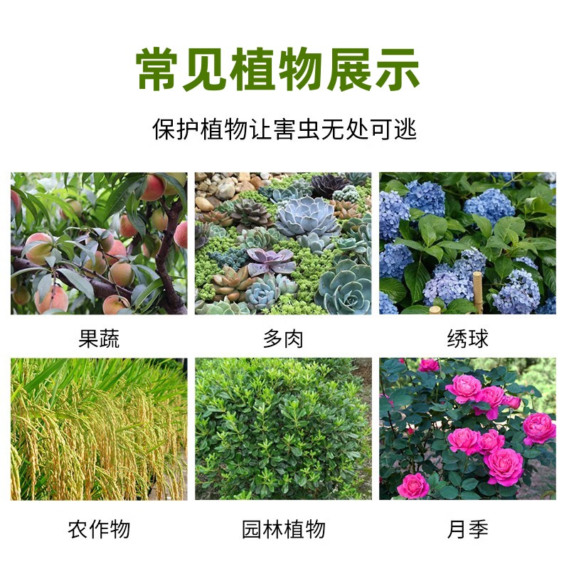 国光吡虫啉施奇小白药杀虫剂花药月季介壳虫蚜虫飞虱腻蜜虫送喷壶 - 图3