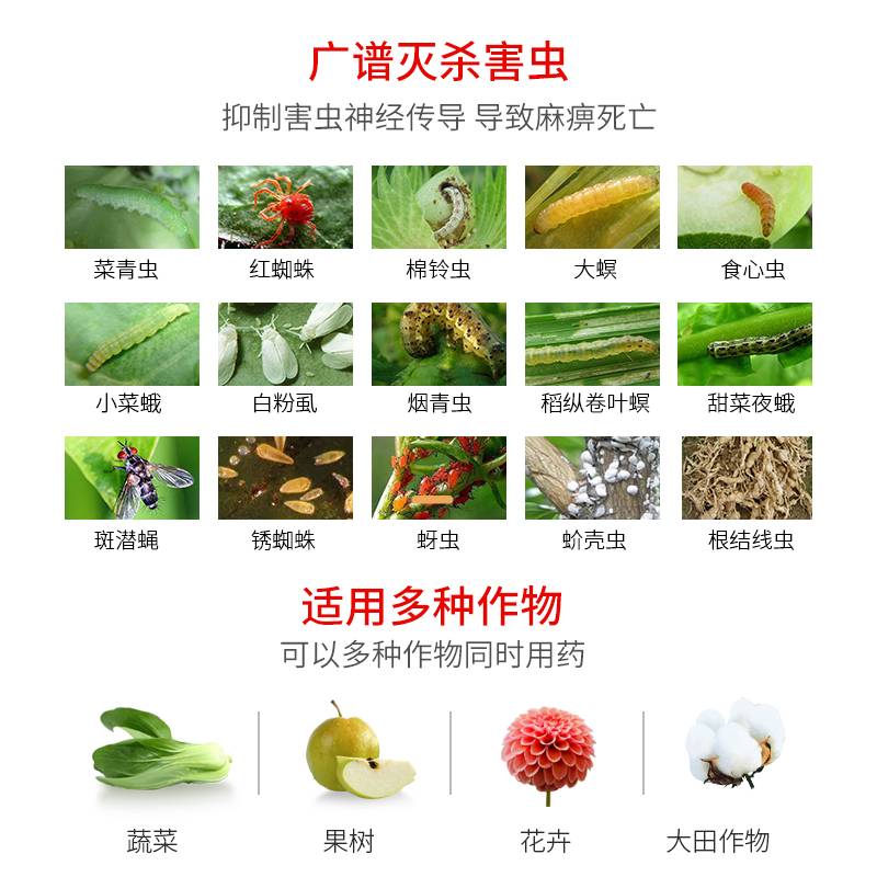 勇冠阿维菌素红蜘蛛蚜虫小菜蛾青虫月季多肉柑橘果蔬杀虫剂10送1-图1