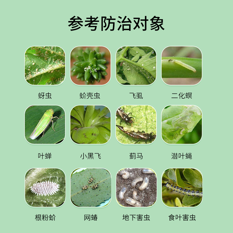 国光施奇小白药低毒杀虫剂无味多肉月季介壳虫小黑飞蚜虫蓟马花药 - 图0