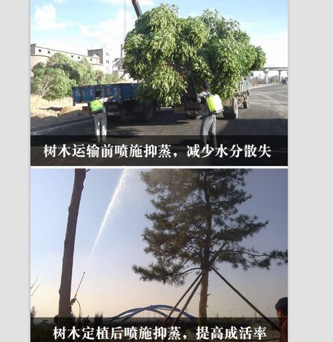 国光抑蒸（原抑制蒸腾剂）浓缩型蒸发剂 减少水分散失 提高成活率 - 图0
