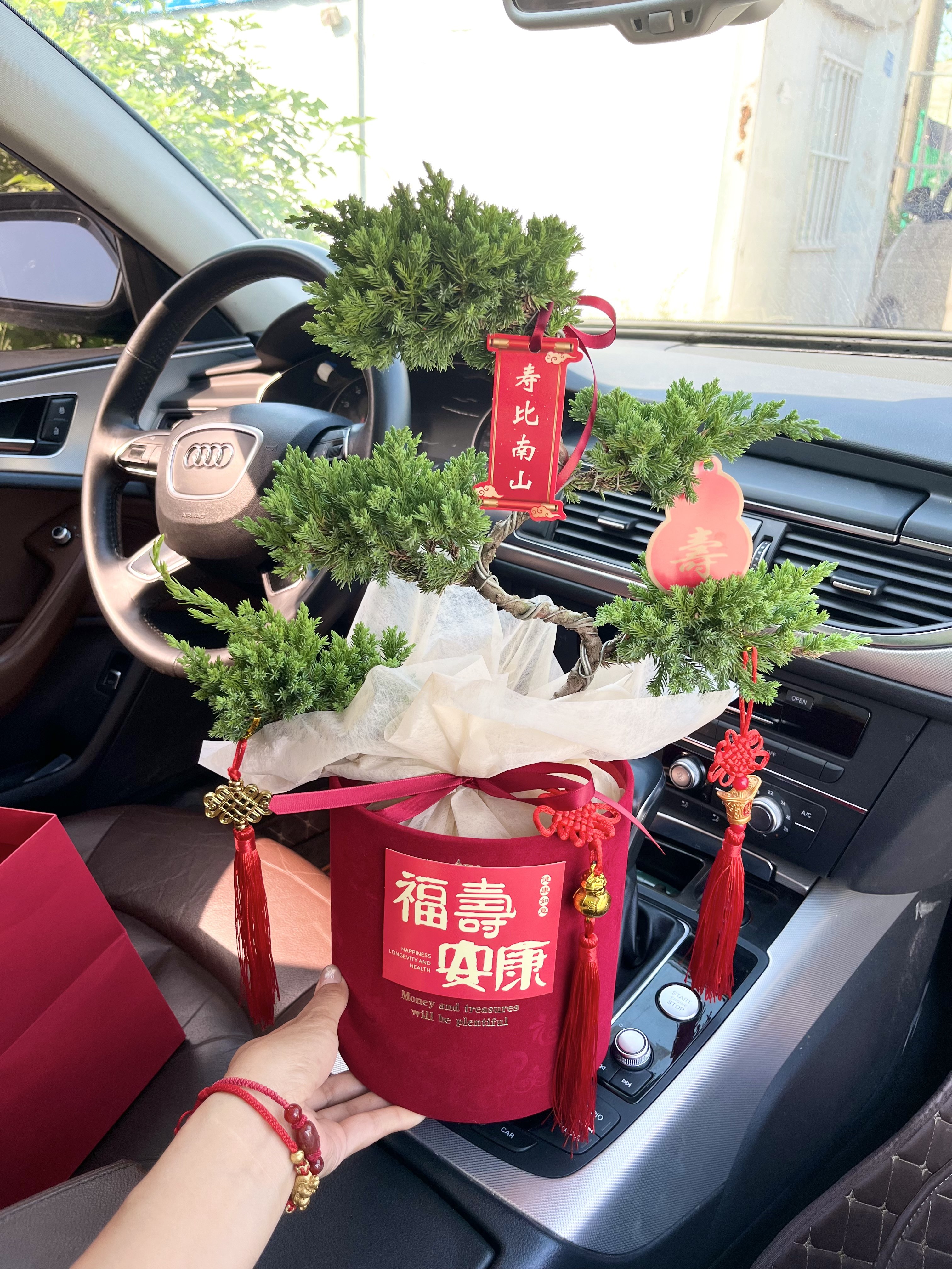 顺丰包邮五层塔松盆栽祝寿新居乔迁开业送领导生日礼物松树盆景,淘宝优惠券,粉丝福利购,淘宝优惠卷