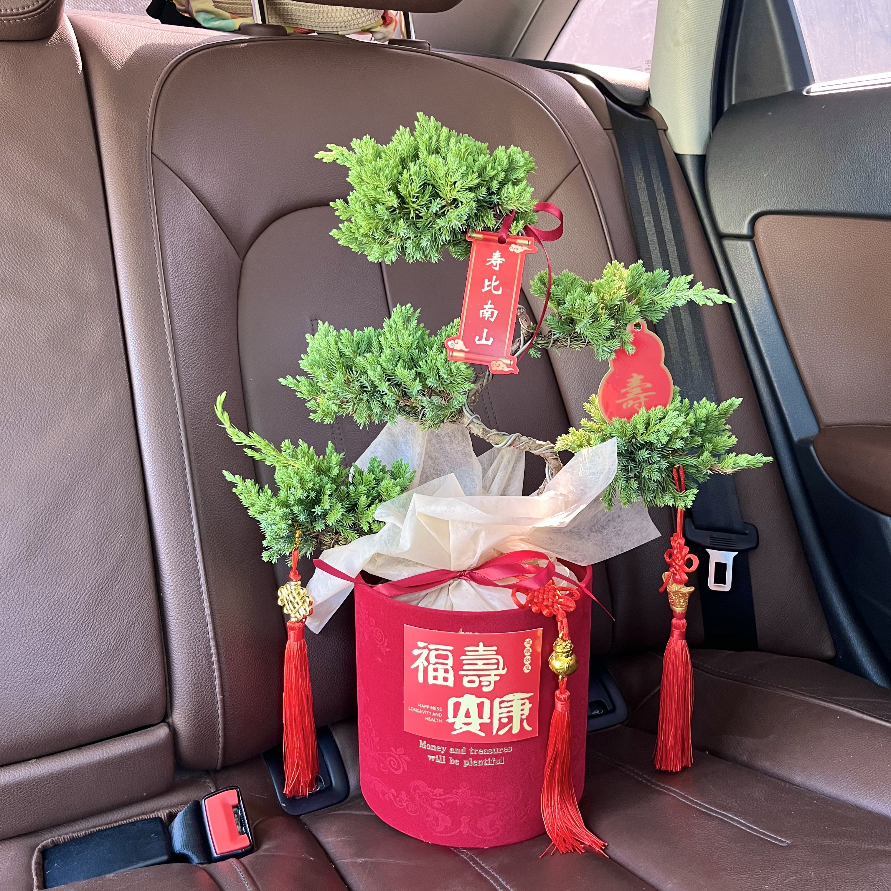 顺丰包邮五层塔松盆栽祝寿新居乔迁开业送领导生日礼物松树盆景,淘宝优惠券,粉丝福利购,淘宝优惠卷