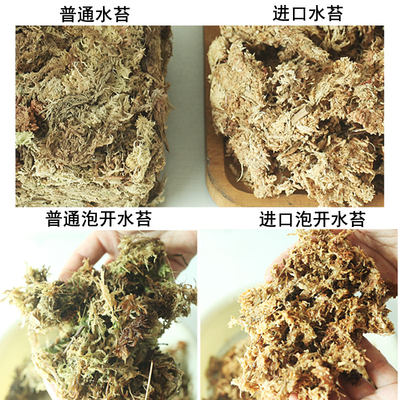 智利进口水苔干苔藓兰花多肉介质青苔水草石斛育苗种植营养土包邮 虎窝淘