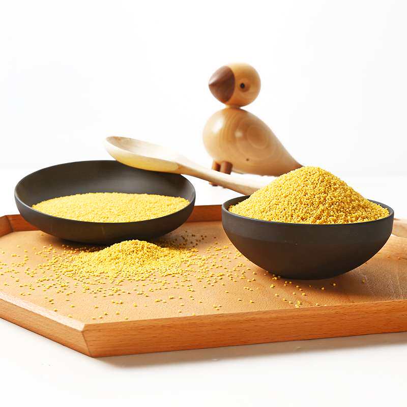 新小米5斤 蔚县桃花小米蔚县贡米8311小黄米月子米宝宝米小米新米