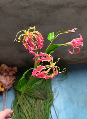 仿真花 嘉兰 火焰百合 家居装饰 花艺师插花 摄影道具 摆件陈设