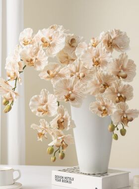 仿真蝴蝶兰9头仿真花3d手感摆件摄影家居花瓶装饰花插花花材假花