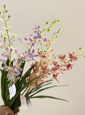 仿真万代兰 蝴蝶兰 洋兰家居客厅电视柜摆件插花 样板房装饰假花