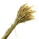 天然麦穗干花真花束开业大麦田园装饰摆件满天星稻穗拍摄道具礼品