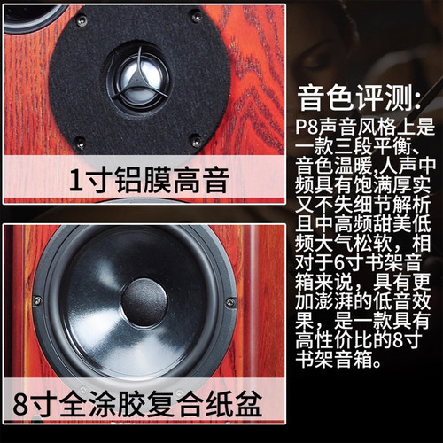 PAIYON/派扬音响P8八寸大书架无源hifi高保真8寸前置家用发烧音箱 - 图0