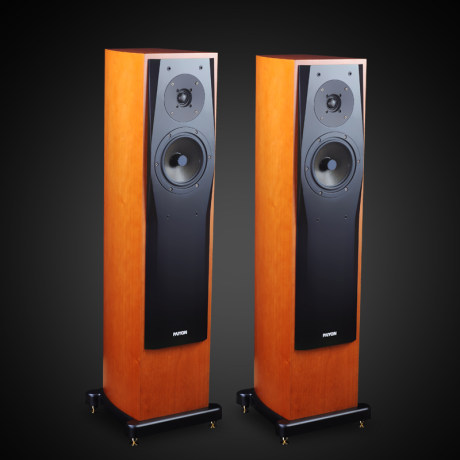 paiyon speakers