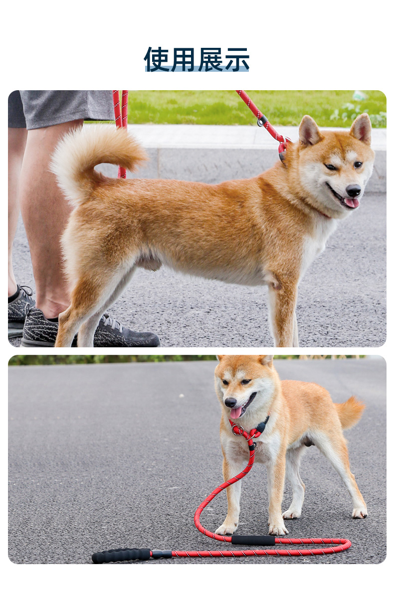 狗狗牵引绳脖圈套装中型犬p链遛狗绳大型犬p绳防爆冲外出宠物用品-图2