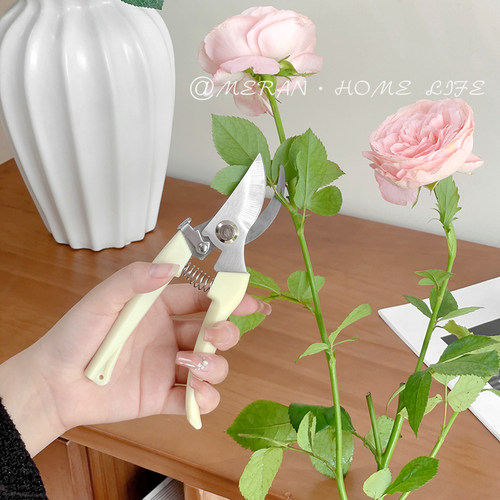 花艺师推荐园艺剪刀鲜花修枝剪花剪五金剪子盆景园林插花家用工具 - 图1