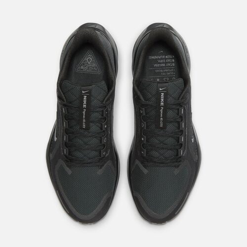 Nike耐克飞马41男鞋黑武士PEGASUS 41 GTX户外防泼水跑步鞋FQ1356 - 图2