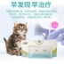 Bộ xét nghiệm mũi mèo FHV mèo cái viêm mũi xoang - Cat / Dog Medical Supplies