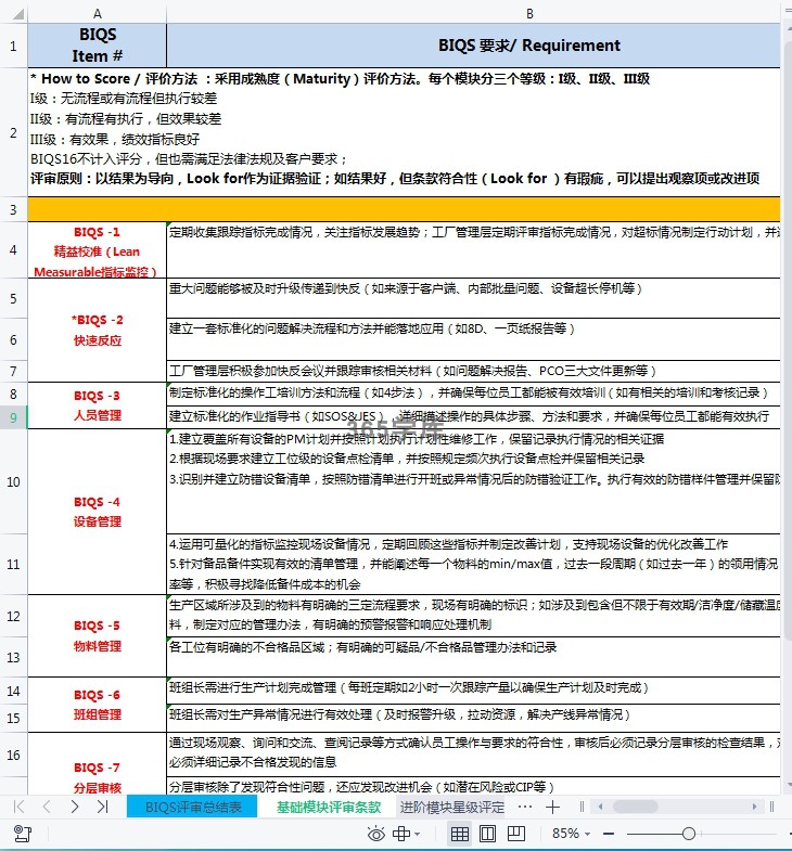 BIQS2.0评审表模板SGM持续改进结果导向16个模块验厂评分Excel - 图0