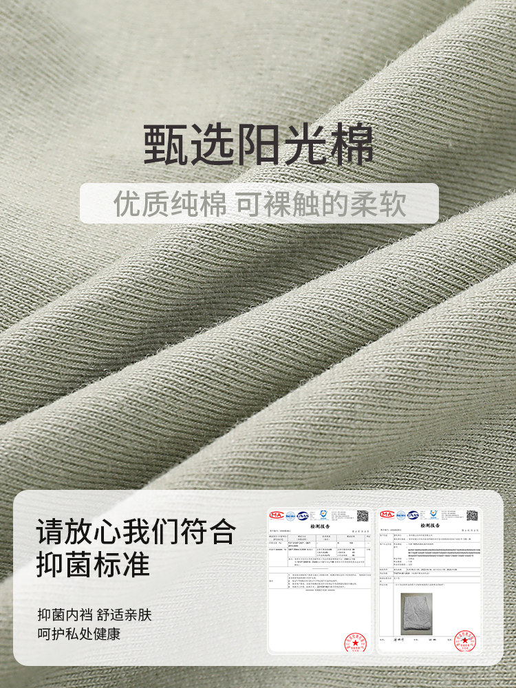  黛尔佳人女三角裤