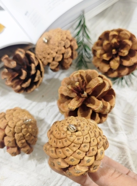 【带钉松果】羊角钉手工松塔圣诞节儿童房装饰DIY材料包配件挂件