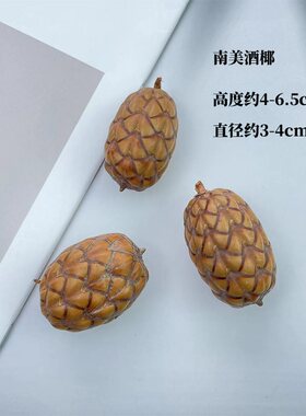 【酒椰果】棕榈科盘玩手把件天然植物标本果子diy手工材料龙鳞果