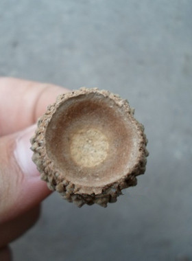 橡果帽子手工diy材料装饰品