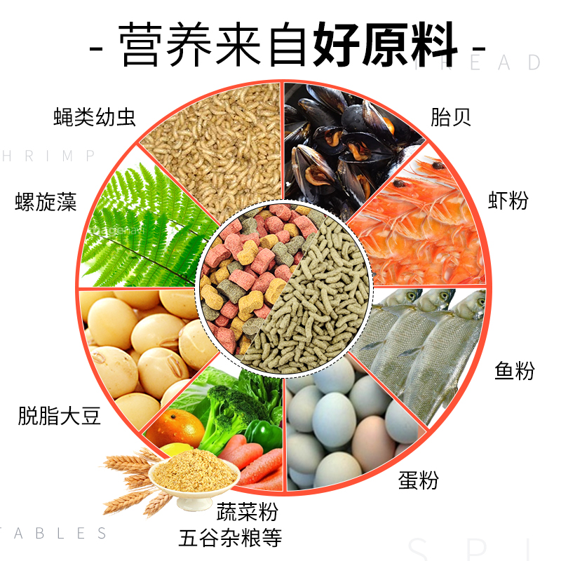 商品详情图片