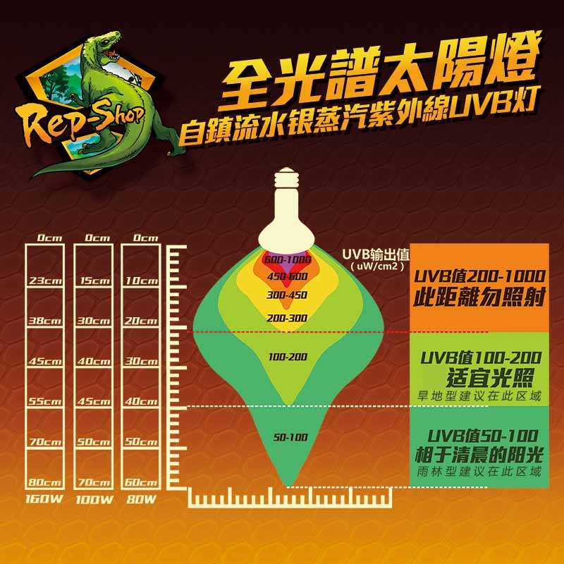 爬宠全光谱UVB太阳灯陆龟爬虫UVA日灯蜥蜴Mega-ray加热补钙晒背灯-图0