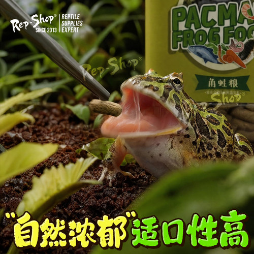 Rep-Shop角蛙粮黄金绿角霸王蝴蝶非牛饲料蛙粮角蛙食物非SUDO - 图1