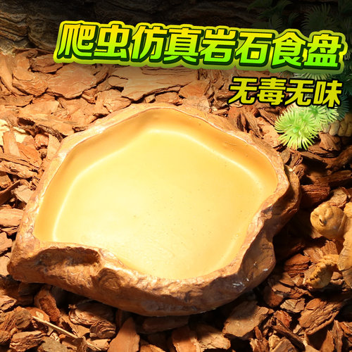 爬虫水盆守宫角蛙蜘蛛龟箱爬宠鬃狮IG苏红腿豹龟食盆陆龟菜盆 - 图2