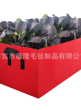 毛毡长方形种植袋蔬菜生长植