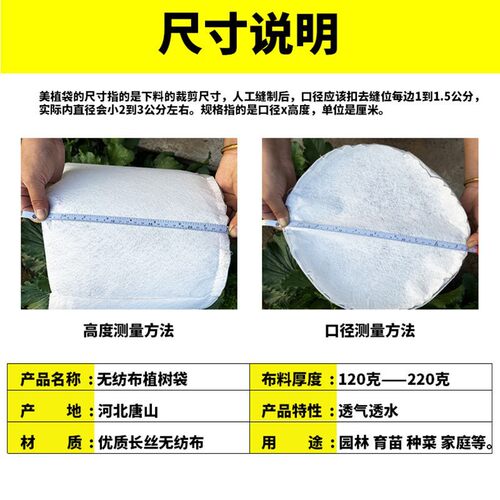 白色植树袋加厚无纺布美植袋营养钵树苗花卉蔬菜种植袋工厂直销大 - 图2
