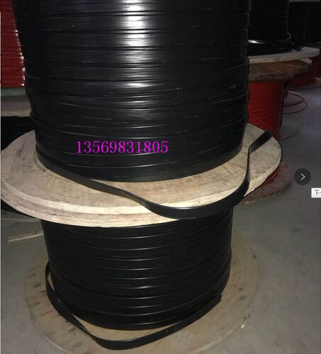 起重机龙门吊行车专用扁电缆5*6+3*1.5双钢丝扁电缆10T天车专用线 - 图2