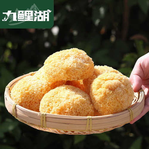 福建银耳白木耳干货糯丑耳无硫新鲜原料产地古田胶质浓稠不熏硫 - 图2