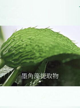 【盒装10片】海藻补水嫩肤面膜水润保湿熬夜提亮护肤女面膜韩美肌