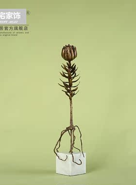 真复古铜芦荟仙人树野菊花植物金属摆件工艺品 欧式样板房装饰