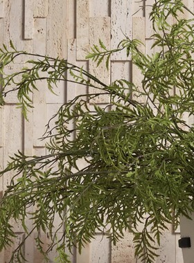 黑白纹大口径花瓶禅意新中式客厅插花陶瓷艺术花器样板间茶几摆件