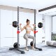 Squat rack, elevated pull-up rack, bench press rack, barbell rack