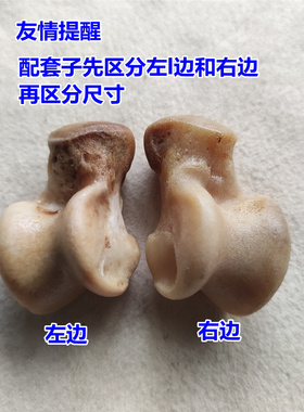 纯银套托镶嵌文玩饰品狼拐真狗拐狗髀石项链男女吊坠狗牙男士配饰