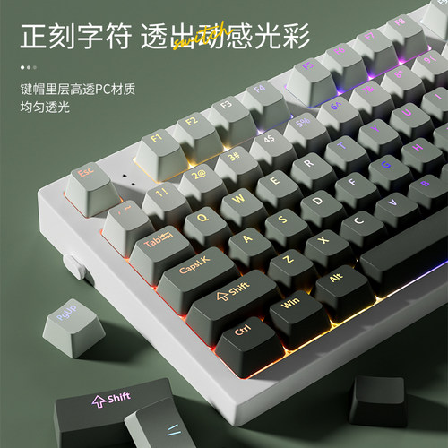 腹灵青藤键帽原厂正刻PBT渐变透光wooting60he vgn v87 atk v75x - 图0