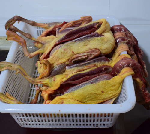 数量有限 正宗皖南麻鸭 农家散养梅子鸭土鸭麻鸭春夏滋补老鸭现杀 - 图2