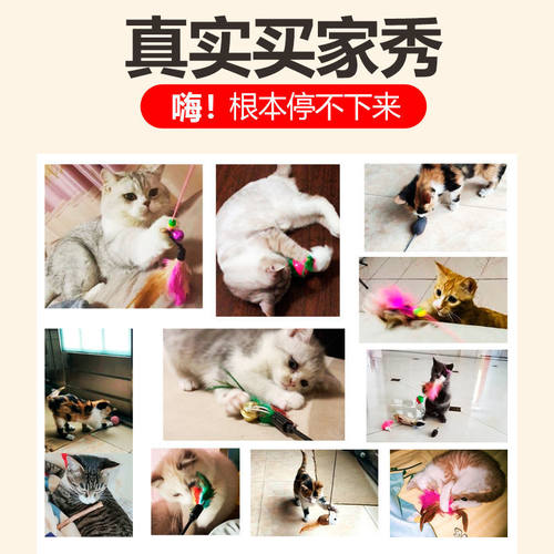 猫玩具逗猫棒长杆猫咪玩具逗猫小猫幼猫自嗨解闷神器宠物用品大全 - 图3