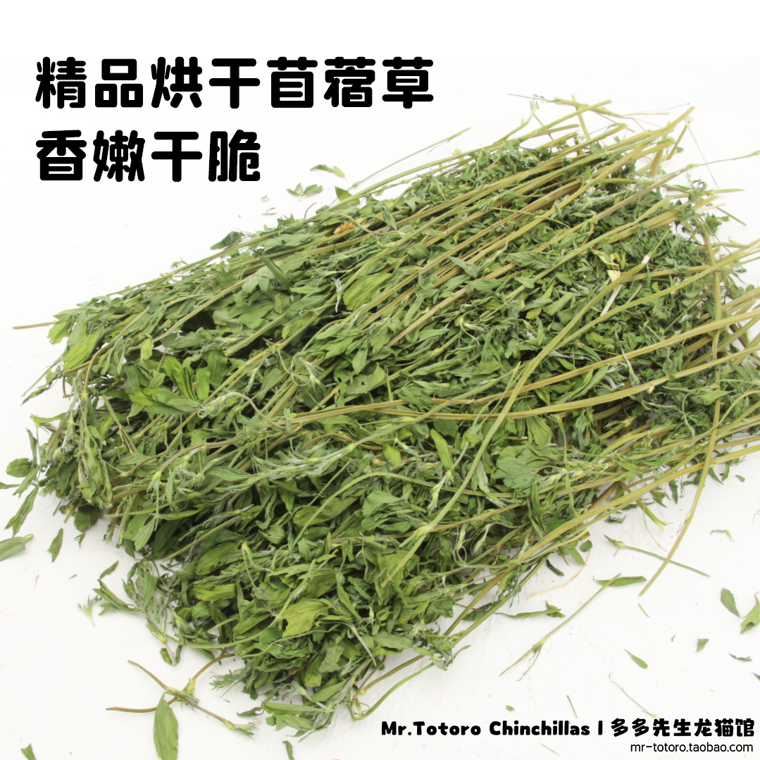 24年新草精品烘干苜蓿草兔子食用草龙猫干草荷兰猪牧草净重750克 - 图0