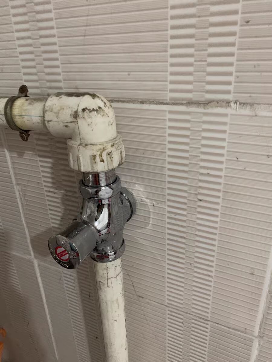 厕所冲水阀手按式蹲便器冲洗阀门开关延时阀卫生间大便器按压便池 - 图1