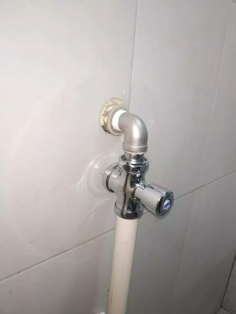 厕所冲水阀手按式蹲便器冲洗阀门开关延时阀卫生间大便器按压便池 - 图3