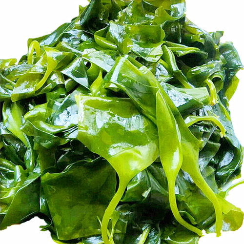 海带苗新菜嫩苗特级新鲜霞浦海带苗海带头丝火锅商用凉拌裙带菜干 - 图2