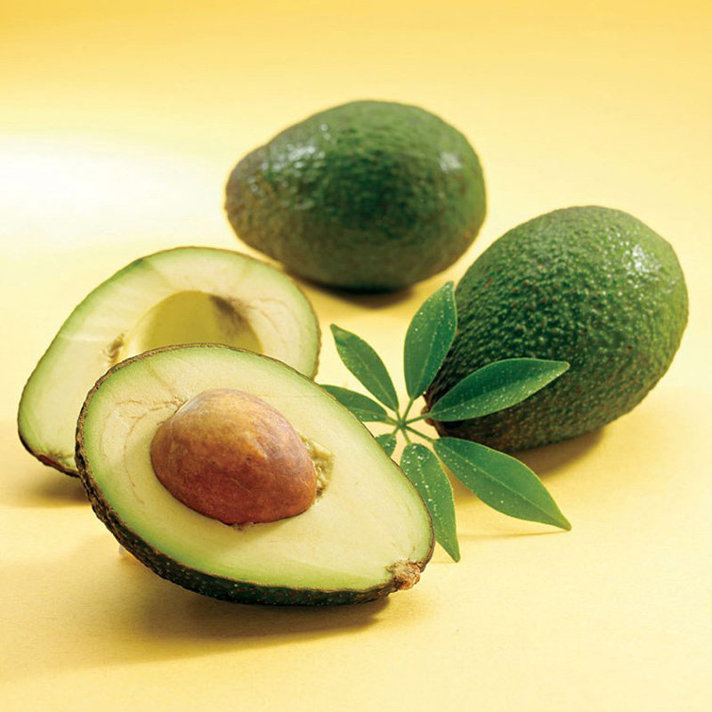 Freshly imported SF avocados from more than 8 places with free shipping