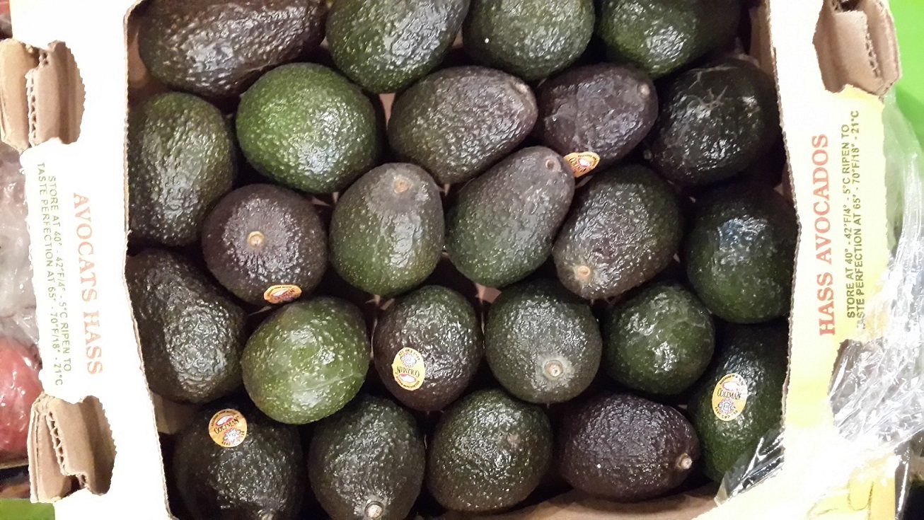 Freshly imported SF avocados from more than 8 places with free shipping