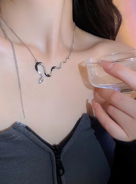 蛇形叠戴双层毛衣项链女小众设计